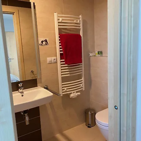 Penthouse Mit Balkon In Zentraler Lage In * プルゼニ