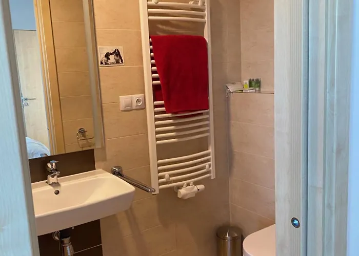 Penthouse Mit Balkon In Zentraler Lage In * Pilzno